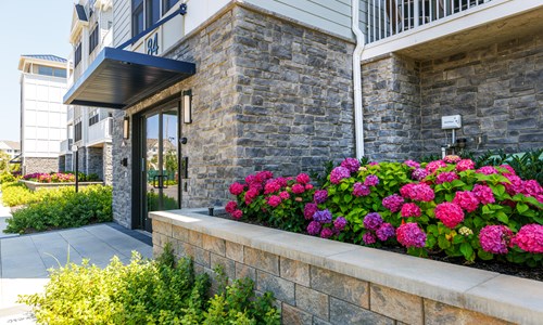 stone veneer blog to mortar or not to mortar